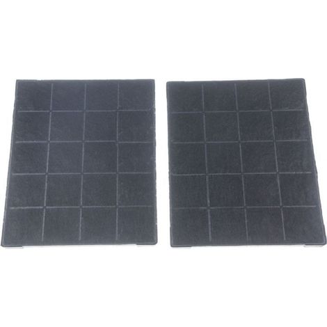 PACK DE 2 FILTROS DE CARBONO PARA CAPOTA F120