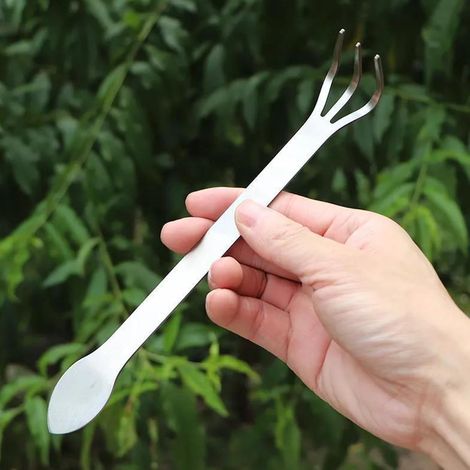 Râteau à racines en acier inoxydable pour bonsaïs et plantes en pot, outil de jardinage à 3 dents (1/5)