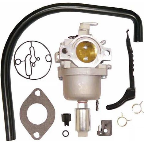 Carburatore adatto per BS 799727 BRIGGS & STRATTON FGP456484