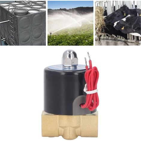 Composants de commande 2W040-10/AC220V : électrovanne en laiton à deux voies, normalement fermée, deux positions. (1/5)