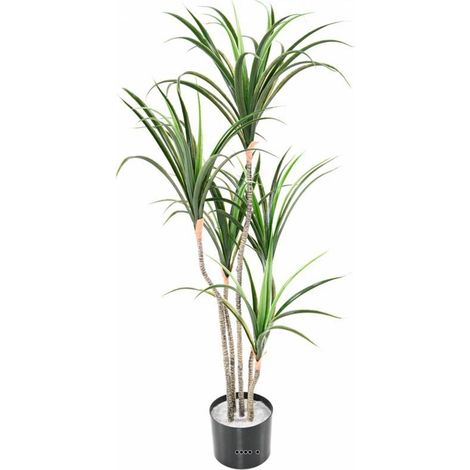 Dracaena marginata artificiel en pot H 130 cm
