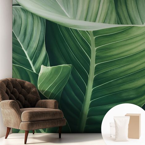 Tapete Vliestapete mit Kleber - modernes Design - Wohnungsdeko - geruchslos - langlebig Grüne Ruhe 250x250 cm (1/5)