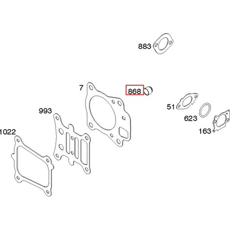 GUARNIZIONE VALVOLA Briggs et Stratton - 795440