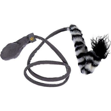 1 jouet sauteur pour chat (1/3)