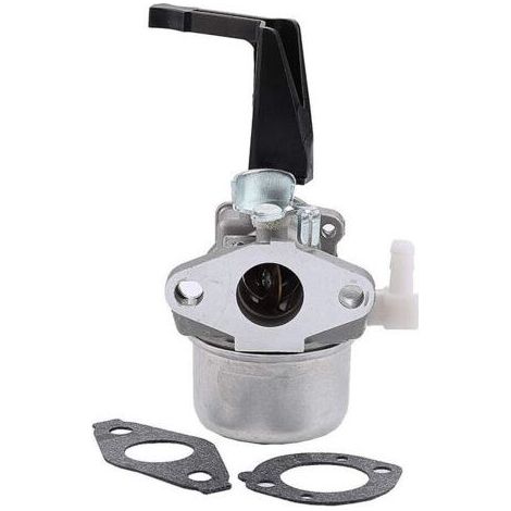 696065 Vergaser für Briggs & Stratton 696065 697422 110402-0206-E1 (1/5)