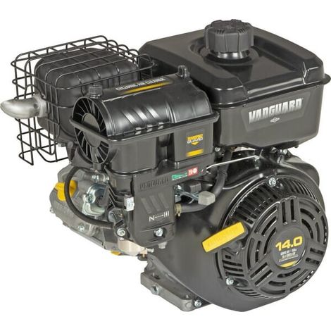 Moteur BRIGGS ET STRATTON 25V3320003F1 (1/5)