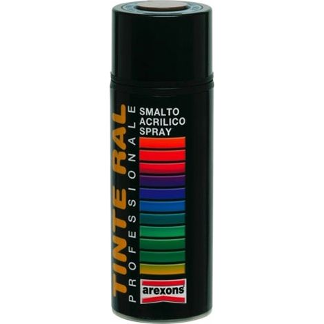 TINTA ACRILICA LUCIDA RAL 9005 400 ML SPRAY PROFESSIONALE NERO
