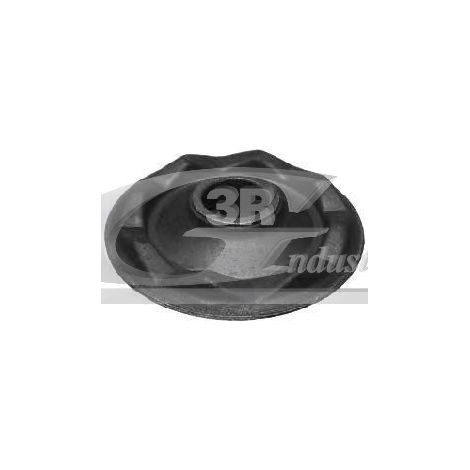 3RG 50310 SILENTBLOC