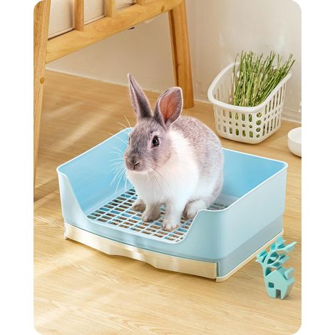 Toilette pour Lapin (1/5)