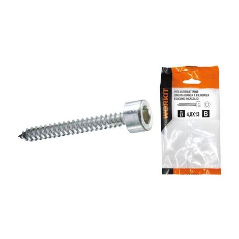 VITE AUTOFILETTANTE TCCE SELF WORKIT - ZINCATA BIANCA MM 4,8X45 CF=PZ 11- 5 confezioni