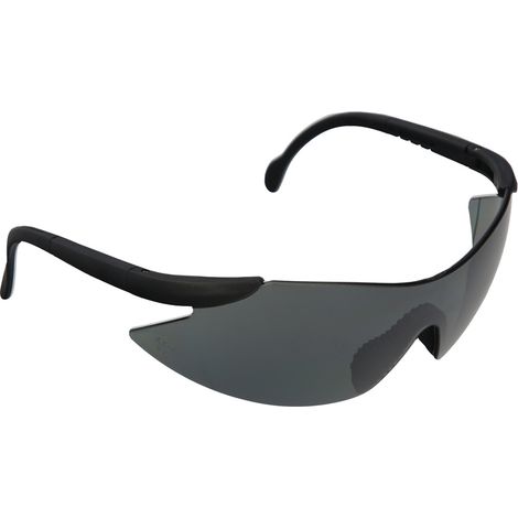 Gafas Proteccion En166 Patillas Ajustables Gris (1/5)