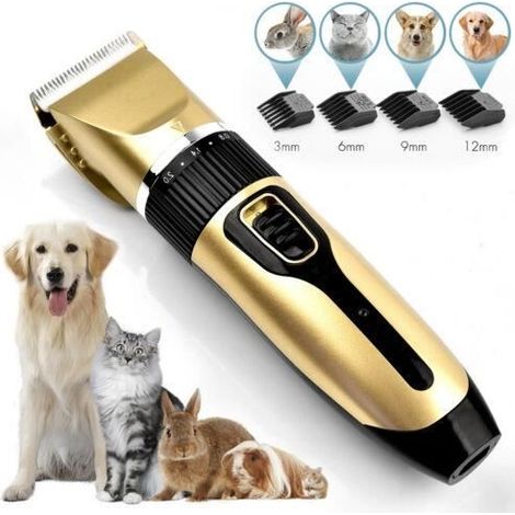 Schnellladefähiger, kabelloser Hundehaarschneider, USB-Anschluss, professionelle Tierpflege, leise, wiederaufladbar, abnehmbares Kabel (1/4)