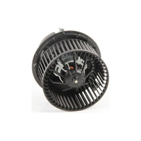 Pulseur d'air Megane II 1.5L et 1.9L 7701056965 7701055135 (1/5)