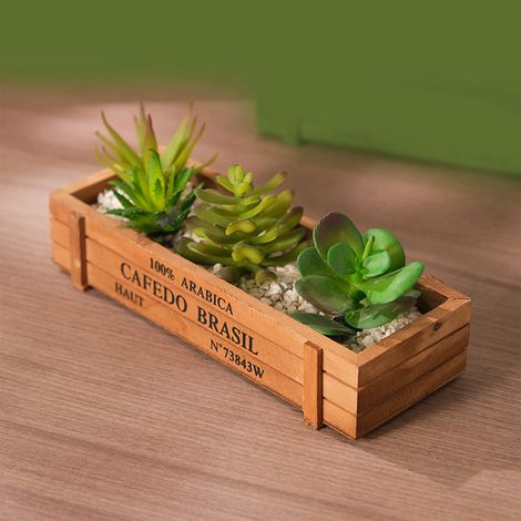 Boîte À Plantes En Bois - Rectangulaire - Pour Succulentes Et Petites Plantes - Décor Rustique Pour Intérieur Bureau Fenêtre Balcon - 1 Pièce (1/5)