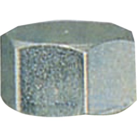 A crou hexagonal tournA raccord F femelle 1/2 acier galvanisA