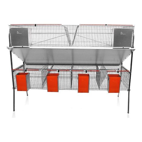 CAGE PER Modello economico-09 conigli con bevanda di tipo chupete. 4 Dipartimenti di maternitМК e 2 ingrasso.