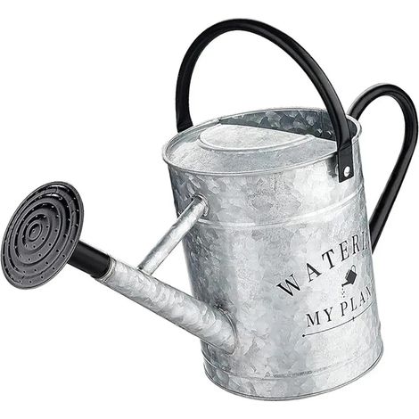 Arrosoir en mtal avec tte darrosage portable de 4 litres (1/5)
