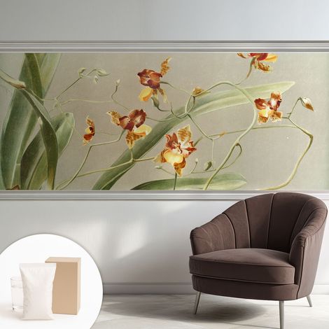 Tapete Vliestapete mit Kleber - Fototapete mit Motiv - Wandtapete modern - Wandgestaltung Klassische Orchideen 250x104 cm (1/5)