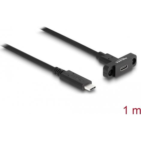 Delock SuperSpeed USB 10 Gbps (USB 3.2 Gen 2) Cable USB Type-Câ¢ macho a hembra de 1 m para montaje en panel negro