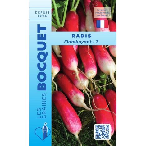 Radis Flamboyant-3 - 10g