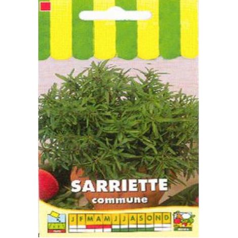 Sarriette commune le sachet de 1200 graines (1g) (1/2)