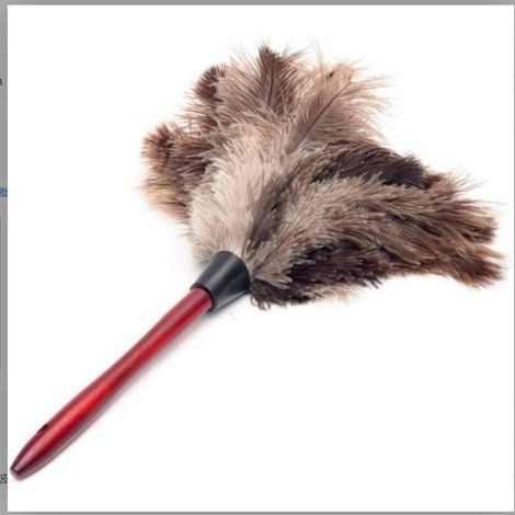 Brosse de nettoyage antistatique en plumes d'autruche, mini-brosse polyvalente pour la maison, nettoyant intérieur et extérieur pour stores, clavier de cuisine, bureau intelligent (1/5)