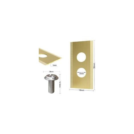 36 x 18 mm (30 pezzi), spessore lama 1 mm, lama di ricambio in acciaio inox placcato oro con doppio foro, adatta per lame tonali - Crezuo