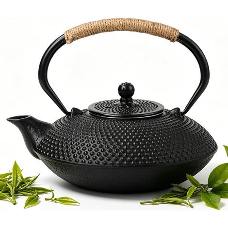 Théière en fonte de 800 ml : théière japonaise rétro avec infuseur, théière traditionnelle japonaise en fonte avec poignée pour plaques de cuisson, convient pour un usage domestique et la (1/5)