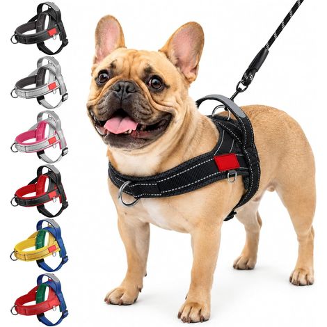 Ensemble Harnais et Laisse pour Chien Petit Moyen et Chiot (1/5)