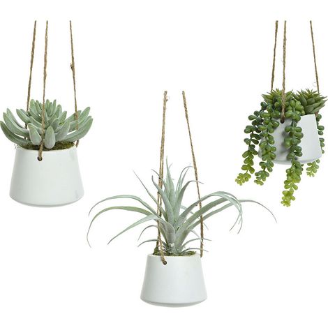 Maceta colgante de suculenta, 20 cm, modelos variados