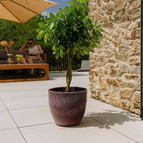 Vaso LANCELOT 29x26cm viola chiaro
