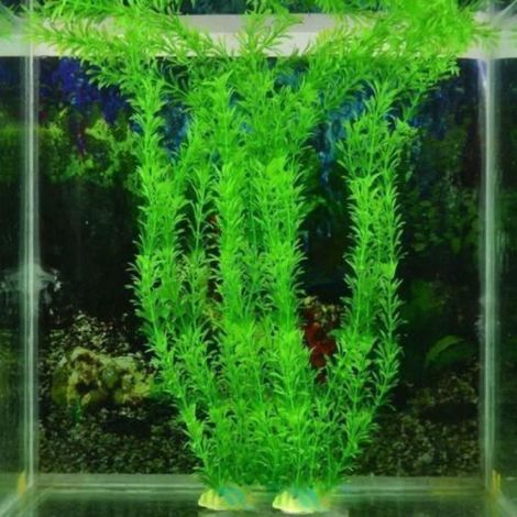 Plante Herbe Végétal Artificielle Plastique pour Aquatique Corail Décoration pour Aquarium 30cm (1/4)