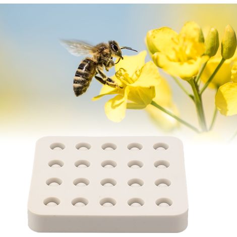 Cire d'abeille, pot de greffage pour reine, moule en silicone, outils apicoles, matériel de production de cellules apicoles en cire, quatre rangées (1/5)