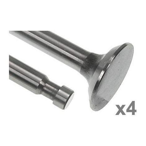 Soupape d'échappement VAPORMATIC VPA1010 (1/3)