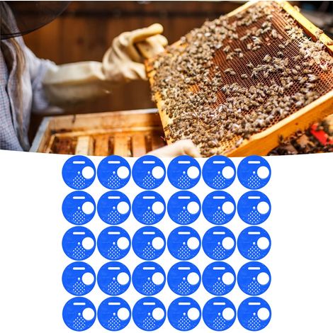 Disque entrée ruche – rond – porte – non toxique – apiculture – bleu