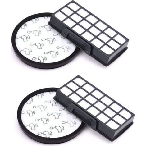 Filtre pour Aspirateur Rowenta RO6984EA RO6941EA RO6963EA RO6921EA RO6971EA RO6993EA - Qualité Supérieure (1/5)