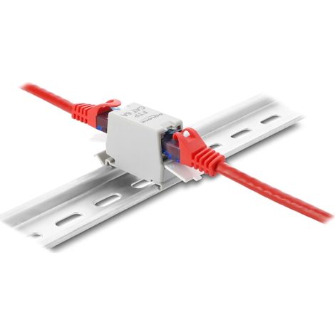 Delock Acoplador RJ45 Cat.6A hembra a hembra con tapa antipolvo para montaje en carril DIN, apantallado, gris / blanco
