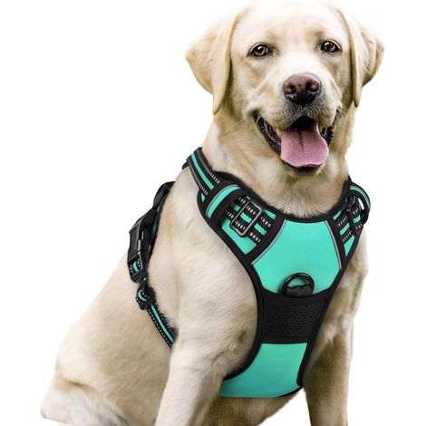Harnais Chien L Arnais Mente Verte Anti Traction Réfléchissant Gilet Réglable pour Chien Grand Taille, Attache Devant Crochet de Laisse pour Trajet Voiture, American Staff, Border Collie (1/5)