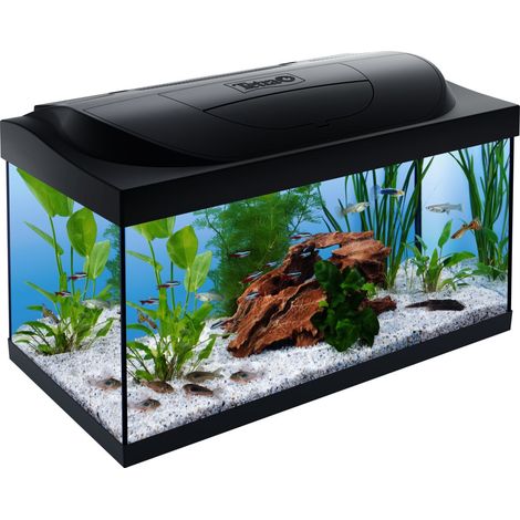 Tetra Aquarium-Komplettset LED Kleine Forscher 54 L schwarz