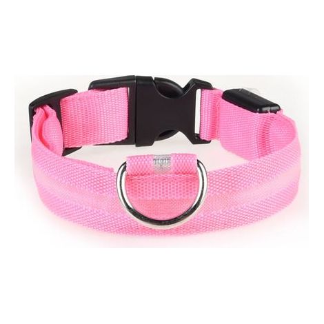 Collier LED rechargeable par USB pour chien de compagnie, clignotant, lumineux, sécurité, lumière en nylon (1/4)