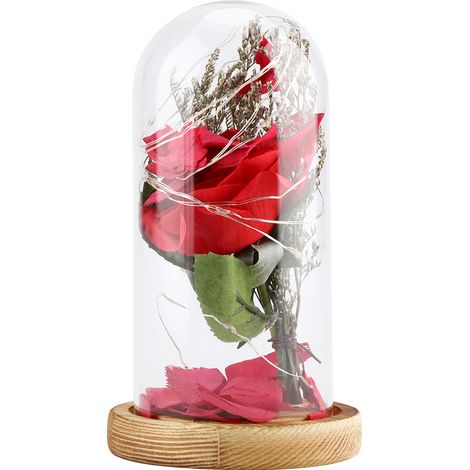 Lampe romantique LED en fil de cuivre et verre rose en forme de dôme Lampe de nuit décorative Cadeau pour les amoureux et les amis (1/5)