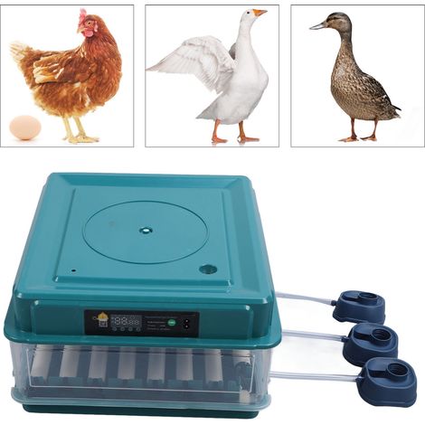 Tapa de incubación LED automática con sistema de rotación de agua extraíble y fuente de alimentación dual de 110 V/48 A para cría y uso doméstico. (1/5)