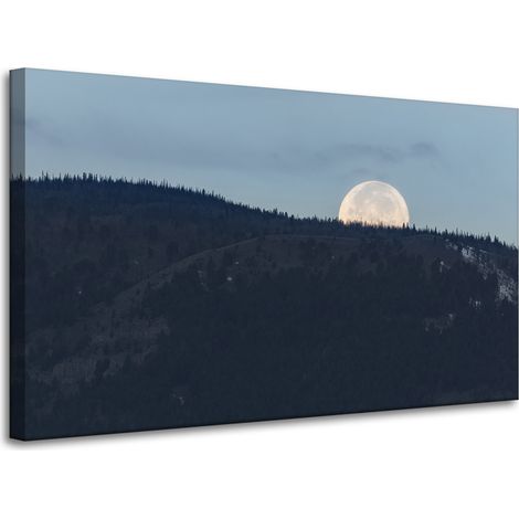 Leinwanddruck Natur Aufgehender Mond 100x60