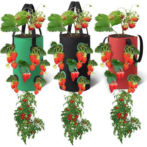 Lot de 3 sacs de culture suspendus 20x35cm – Tissus non tissés avec 12 poches respirantes – Pour fraises, herbes, fleurs, légumes - 20cm35cm (1/5)