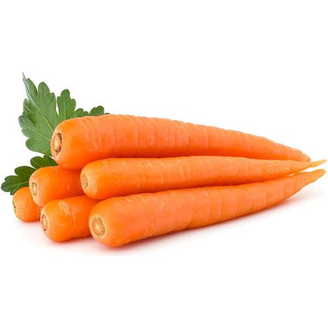 Semi di carota "Touchon" piante per orto e giardino
