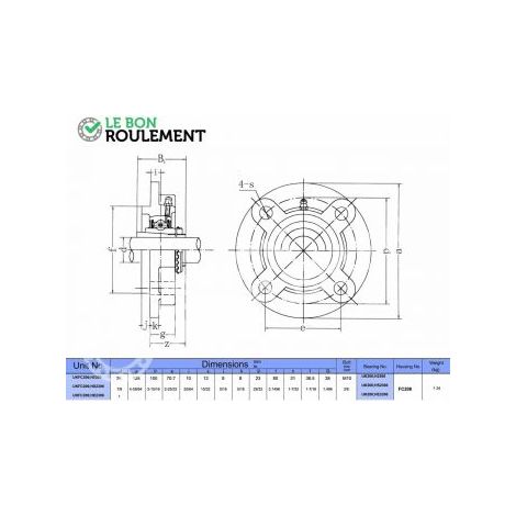 Palier fonte UKFC206+H2306