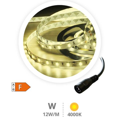 Rolle 5M LED-Streifen 12W/M 4000-4500K IP44 24V (1/2)