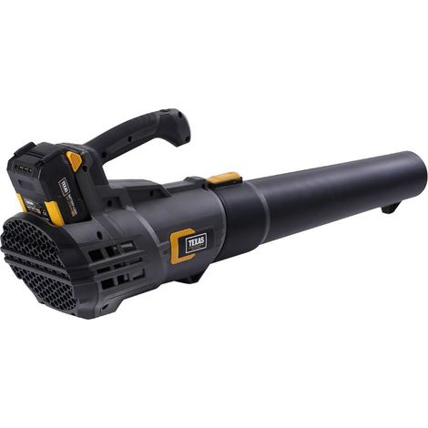 Pack souffleur de feuilles sans fil 150km/h batterie 20v 4Ah chargeur TEXAS LBX2000 (1/8)