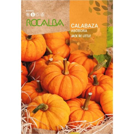 Rokalba Seed Calabaza Jack ist klein 100g