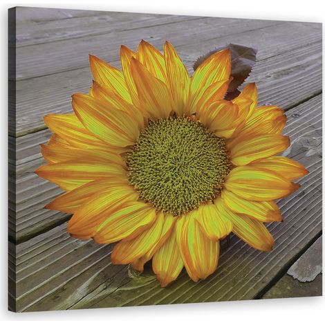 Quadro su tela, Girasole giallo - 30x30 (1/5)